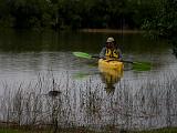 C Everglades 058 : Everglades